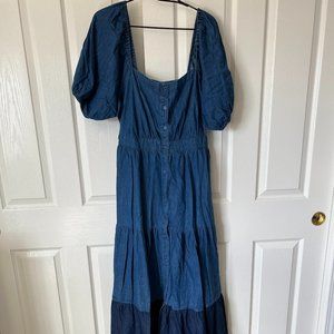 Gabrielle Union Denim Dress Fashion to Figure Size 14/16